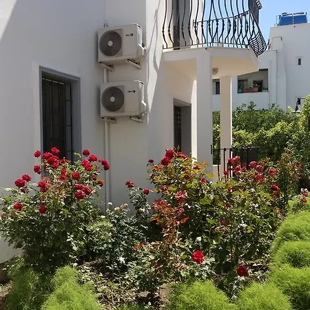 Апарт-отель Dilek Гумбет